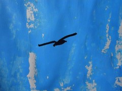 ORIGINAL PAINTING PAPER & Acrylic study „One Bird“ #0001 Steven Graff