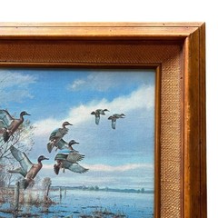 David Maass #513 Limited Edition Canvas Painting „Alarmed“ Wildlife Art 22″ X 18