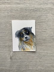 Aceo Original Painting By Kenna HP Dog Portrait 2.5” X 3.5”