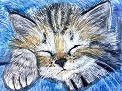 sleeping tabby kitten cat blue painting double ACEO 3.5 by 5 inches