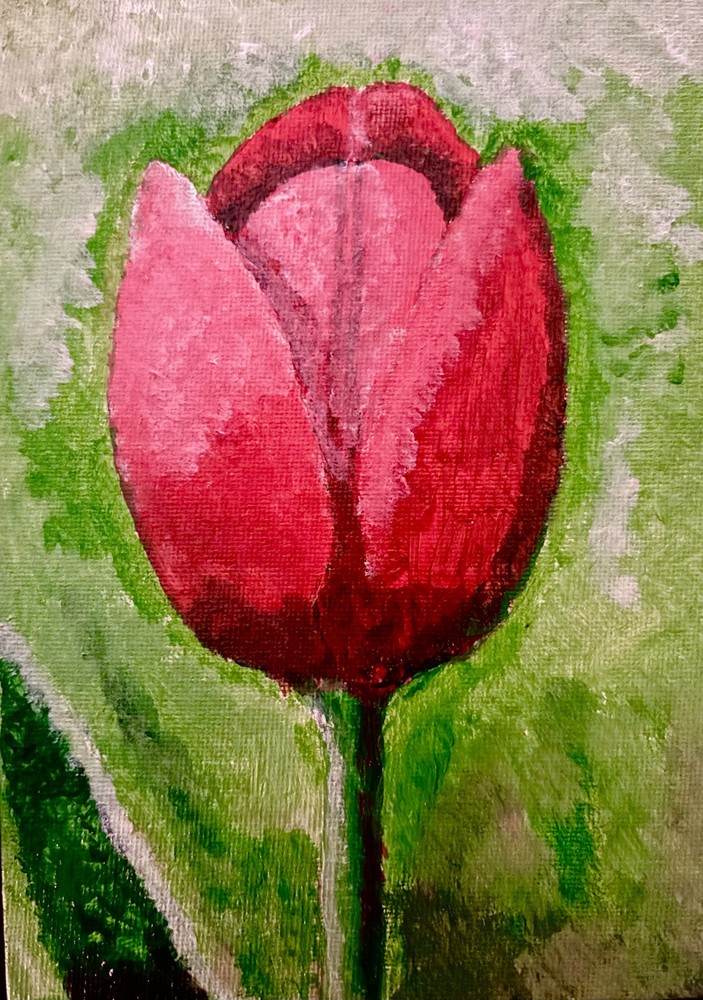 Brigraphics, Canvas Panel, Acrylic Paint, Flowers Red Tulip 5in x 7in