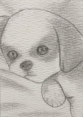 Aceo Pencil Sketch Art Card