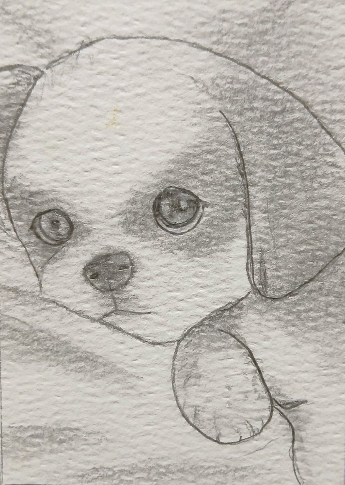 Aceo Pencil Sketch Art Card