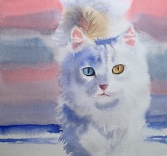Original watercolor Cat Turkish Van White Angora Made to order pet portrait art