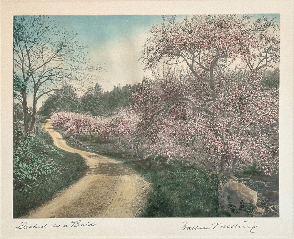 Wallace NUTTING (1861-1941) „Decked as a Bride“ Hand Colored, Signed & Titled