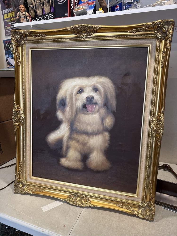 Vintage Signed Real Framed Oil On Canvass Painting Pet Dog Shitzu Puppy 31×26”