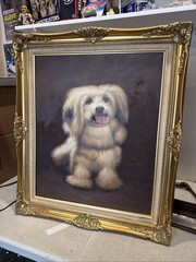 Vintage Signed Real Framed Oil On Canvass Painting Pet Dog Shitzu Puppy 31×26”