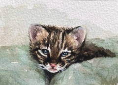 ACEO 100% Hand Painted Original Mixed Media Painting Art Cat