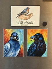 Smoking Pigeon. Art Print Fridge Funny Magnet Bird Lover Gift ACEO Mini Painting