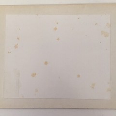 Frank Edward Ackerman Matted Minature Print Evergreens 4.75 x 6.75 Pre-owned