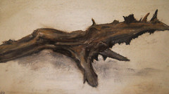 ::FRANZ EHMKE *1928 -2018 GDR PAINTER IMAGE OF A WOODEN PIECE DRIFTWOOD