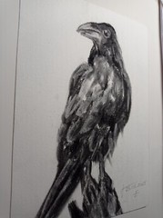 Original Painting Black raven Drawing Wall Art 6 x 8″