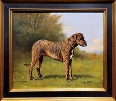 19th century portrait of an Irish Terrier -Oil painting c.1860s