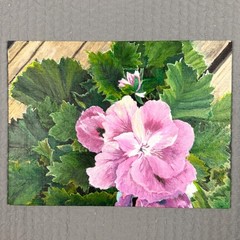Helen Powers Original Oil Painting Pink Flower Botanical Canvas Art 2015 9″x12″