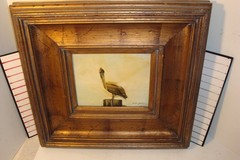 Original framed painting on board Scott gleason American ornithology Pelican