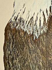 James D Joyner Original Signed Bald Eagle Patriotic Art 1989 25.5×18 July 4 Gift