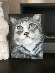 Original acrylic painting- cat , kitty on canvas 12x16x0.5 in, home decor, art