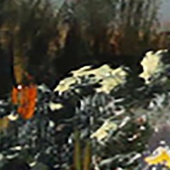 LANDSCAPE Oil painting contemporary 8x12UKRAINE