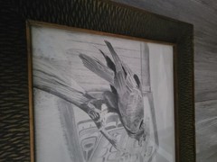 Vintage NATIVE AMERICAN Graphite Artwork SKETCH PRINT Mark Coleman 91 Picture