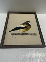 – 8 X 10 Evening Grosbeak Song Bird Original Painting Framed See Story Below