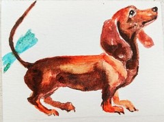 ACEO dachshund dog art original signed painting,home design,pet lover best gift