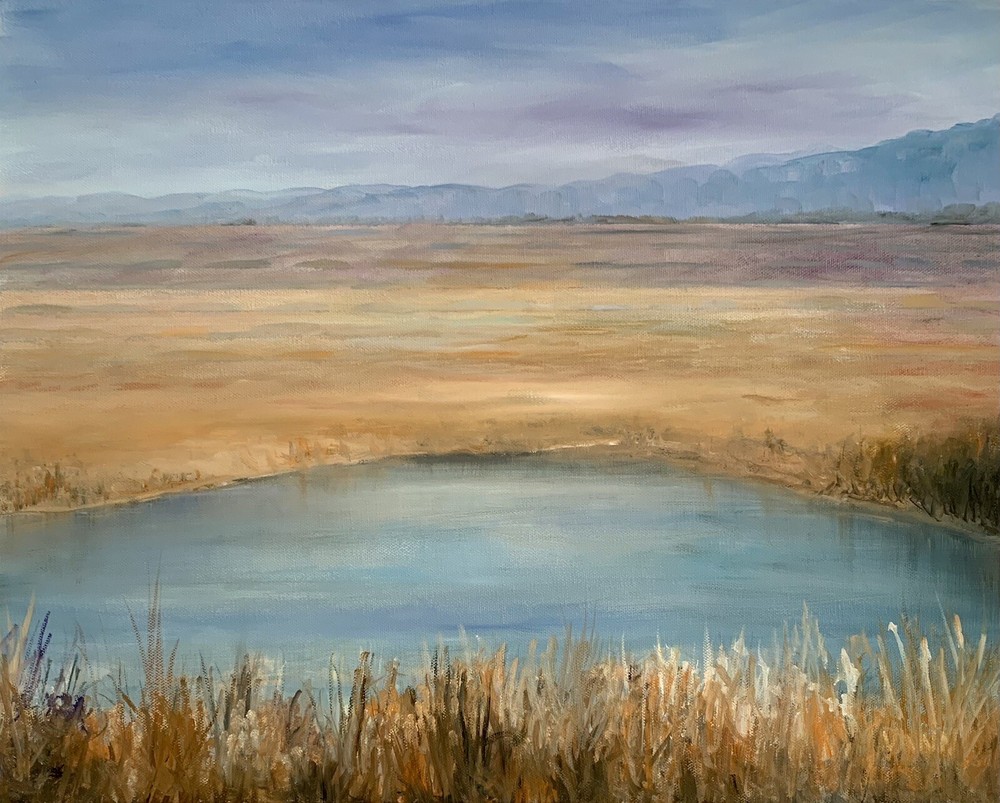 NEW LANDSCAPE OIL PAINTING 16x20inches OIL ON CANVAS BY GINA VANN UNFRAMED
