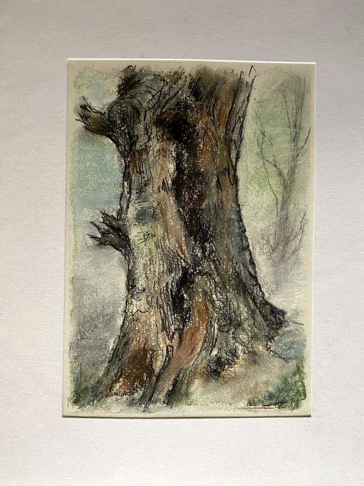Franz Ehmke 1928-2018 GDR Painter Pastel Tree Beech Signed Forest Strain Bark