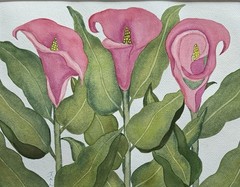 PAINTING WATERCOLOR ORIGINAL ART CALLA LILY FLOWER PINK 11×14 DOUBLE MAT 16X20