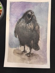 OOAK Raven Watercolor Origional signed by artist Edith Schmidt
