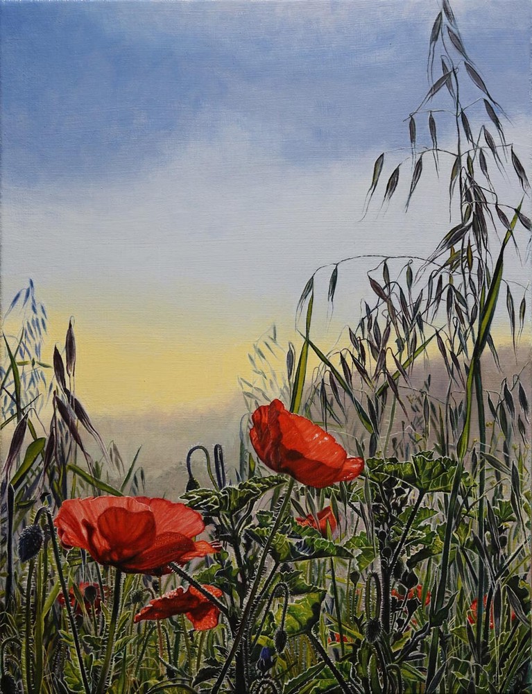 Original Art Oil Painting Landscape On Canvas Red Poppies Spring Flowers Signed