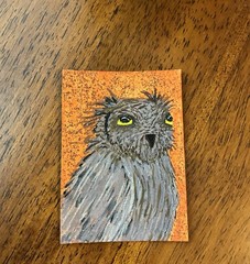 ACEO Original Acrylic Owl Painting 2.5 X 3.5”. Golden Gaze
