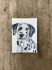 ACEO By Kenna HP 2.5” X 3.5” Dalmation Dog Painting Original Signed