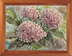 Original Artwork Painting Flowers TENDER HYDRANGEA BLOSSOM Floral Arts Gift A4