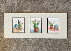 Succulents And Cactus Trio Original Watercolor Painting