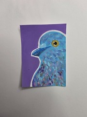 aceo original painting cute colorful pigeon miniature painting nature animal art
