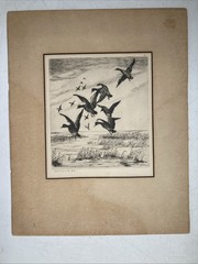 Vintage Original Plein Air Etching Mallard Ducks Dropping In Landscape Signed