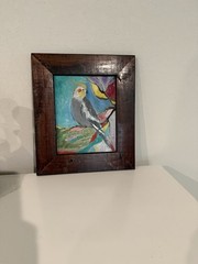 Original Oil Painting Cockatiel Bird Canvas Wooden Frame Artist Signed