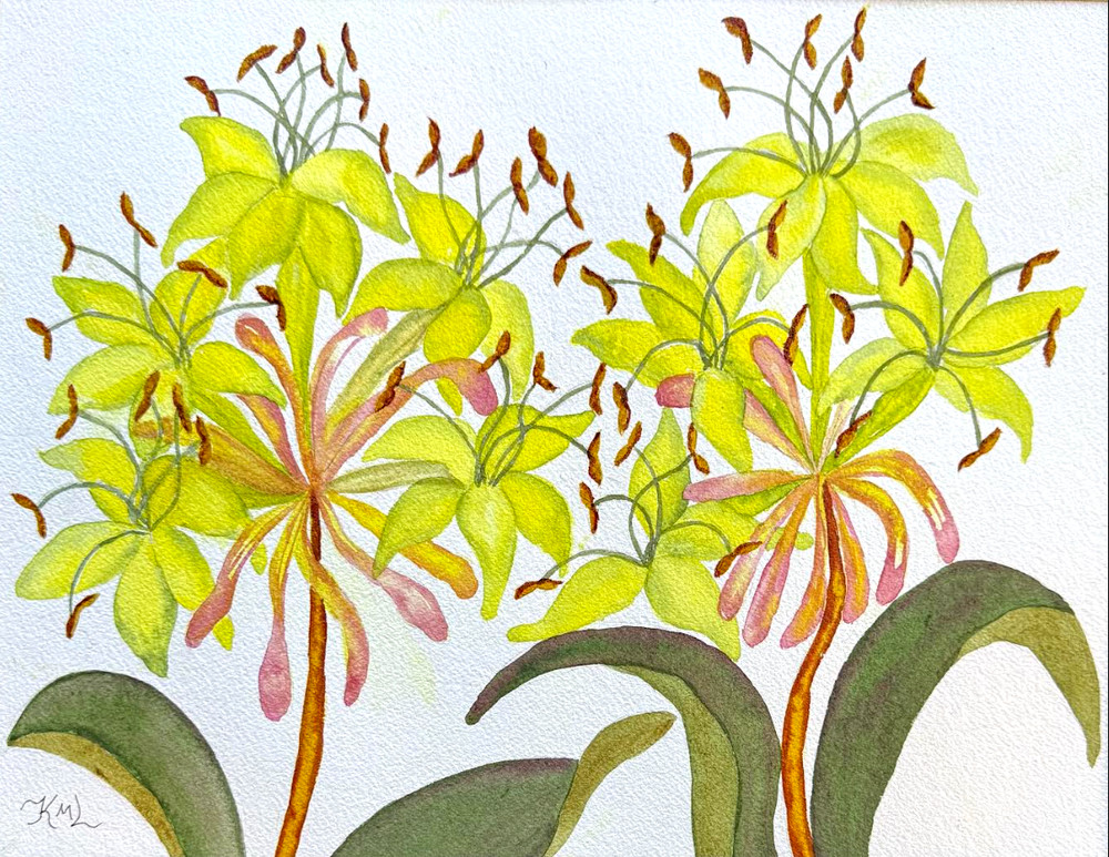 PAINTING WATERCOLOR 11X14 & BLACK MAT 16X20 FLOWER HONEYSUCKLE YELLOW GREEN PINK