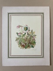 Vittorio Guidotti Watercolor Painting From Italy Italian Artist Signed “Floral”