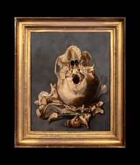 Dutch Old Master Still Life Of A Skull Memento Mori – Pieter Claesz (1597-1660)