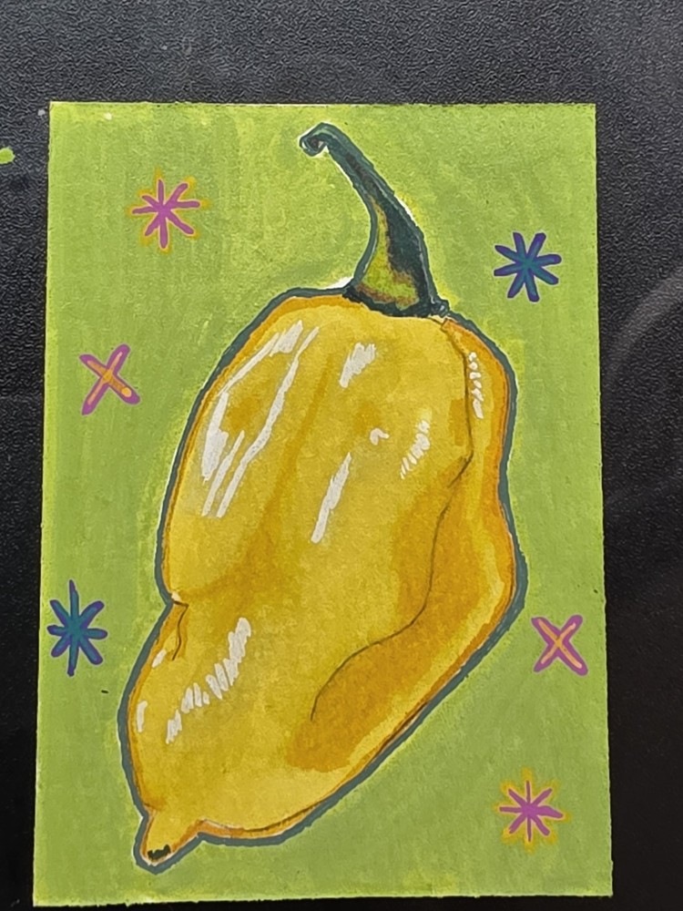 ACEO Original Pepper Vegetable Acrylic/alcohol Marker Painting By AliArtThings