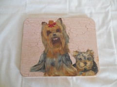 Lovely Yorkies painting on wood 9″ x 11 1/4″ signed Leah 03