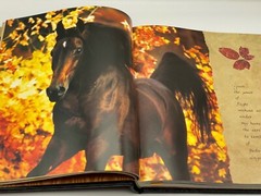 Easton Press 1st HORSES OF THE SUN Collector LIMITED Edition POETRY ILLUSTRATED