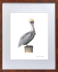 Pelican 8″x10″ Giclee Print of Hand-Painted Watercolor, Unframed