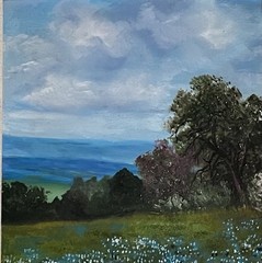 Oil Painting-Classic Scenic View -Tx Hill Country Bluebonnets-Stunning