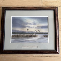 Original 1994 Signed Louis Weber Watercolor Pintails Ducks Baldwin Lake CA
