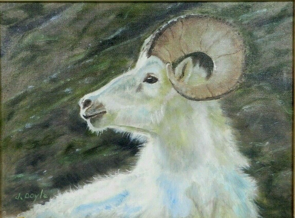 M.JANE DOYLE SIGNED ORIG ART OIL/CAN PAINTING“PRINCE ALBERT“(MOUNTAIN RAM GOAT)