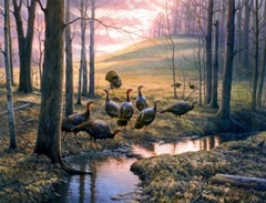 Pheasants in the forest Oil painting Giclee Art Printed on canvas L2576