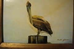 Original framed painting on board Scott gleason American ornithology Pelican