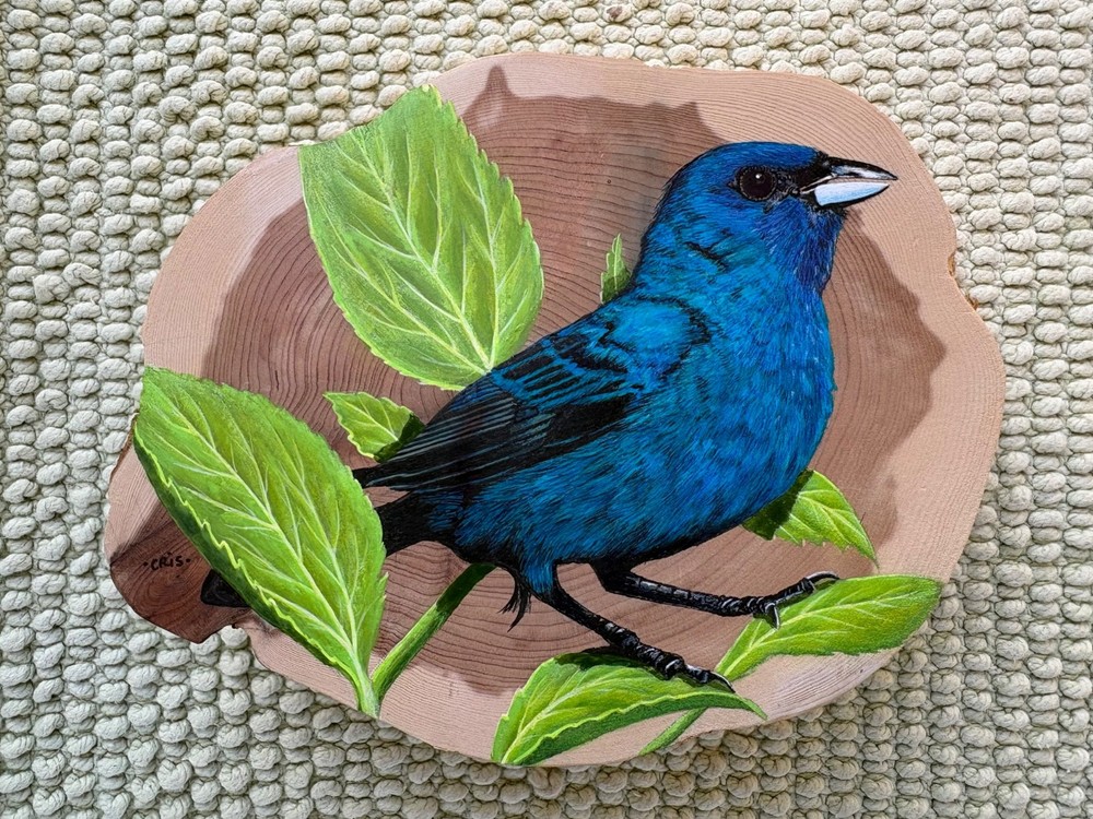 original acrylic and ink painting on cedar by Cris Arbo: indigo bunting